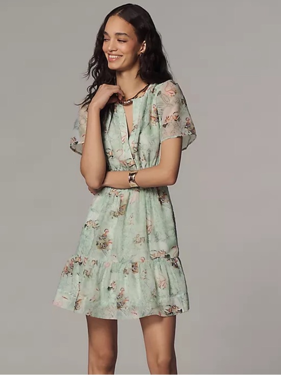Anthropologie Dresses & Skirts - Anthropologie Somerset Organza Mini Dress - Size S